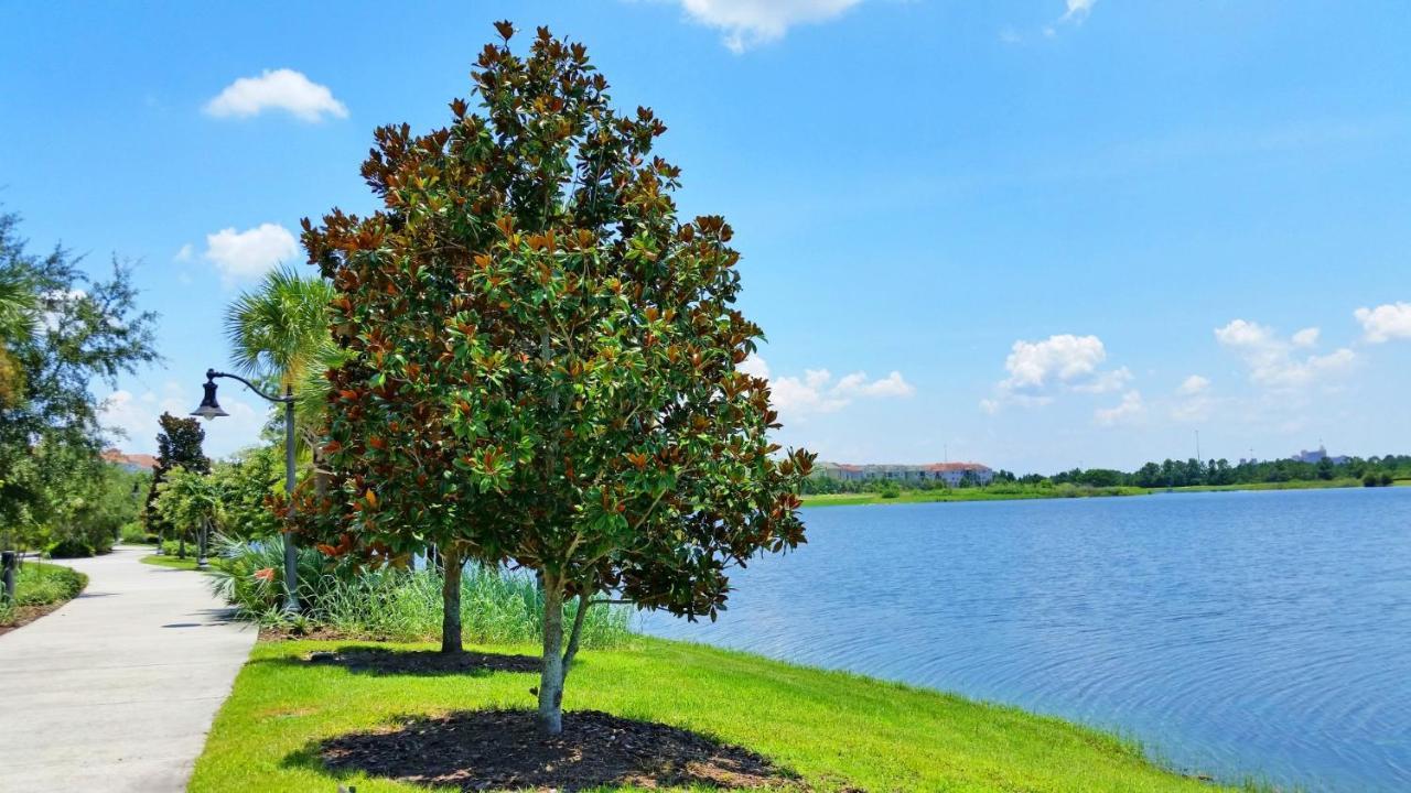 Top-Floor Luxurious Lakeview Condo أورلاندو المظهر الخارجي الصورة